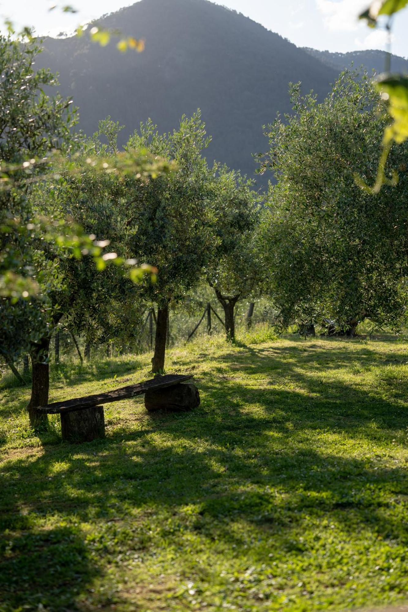 Agriturismo I Due Ghiri - Cinque Terre Calice al Cornoviglio 외부 사진